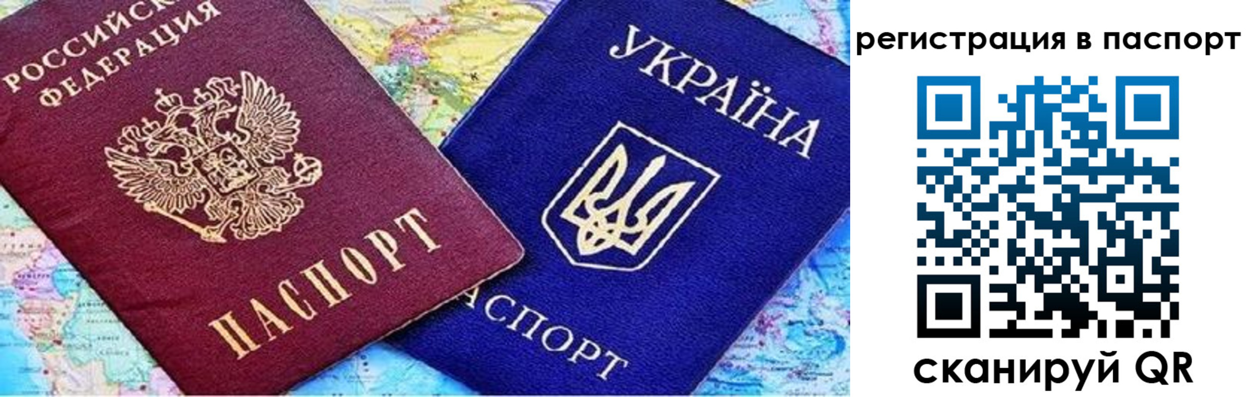 прописка гарантия в Павловске